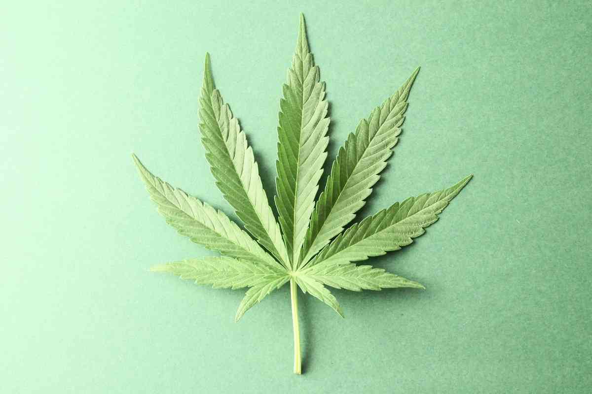 A cannabis ajuda a insônia?